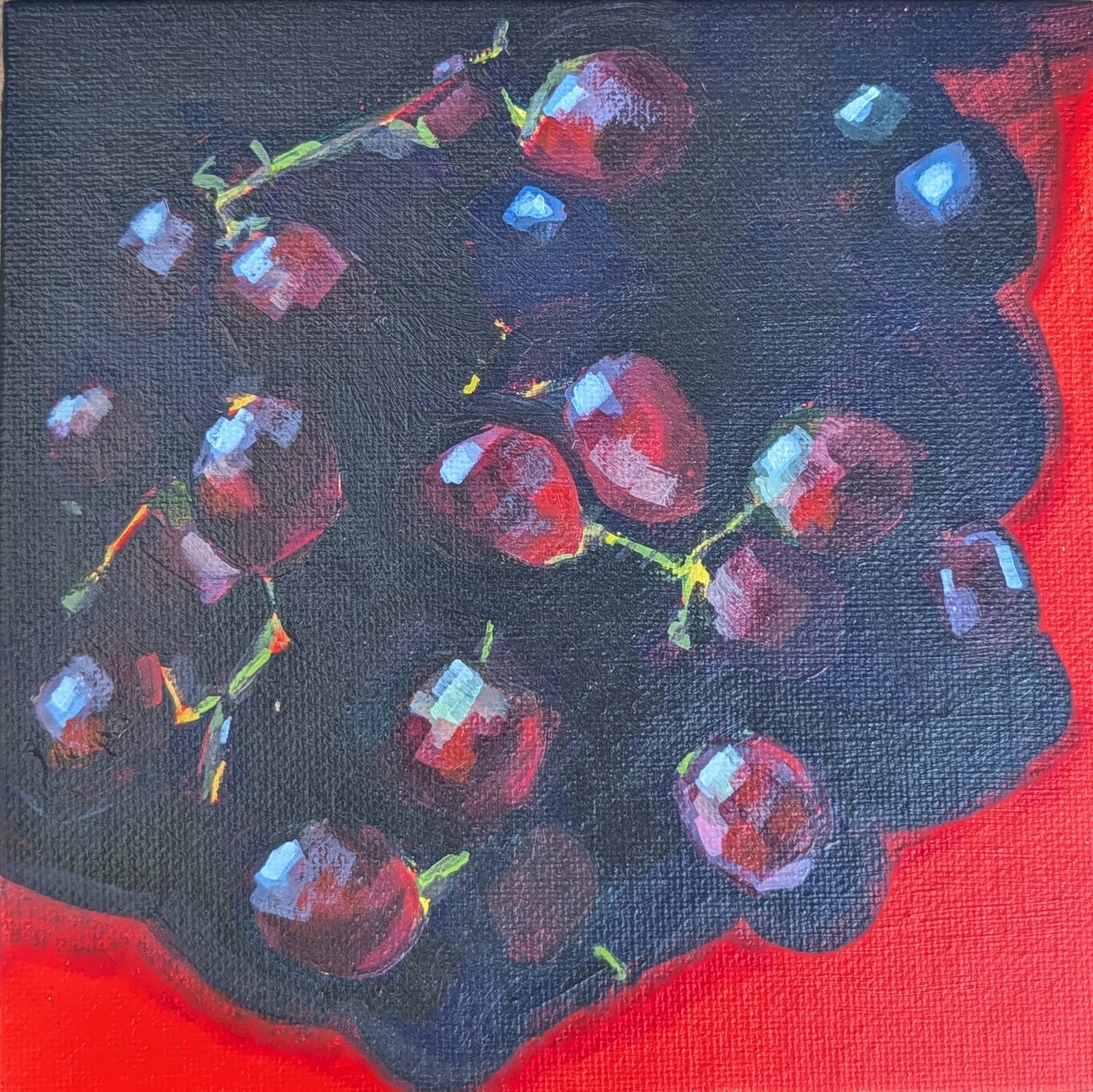 Dark red grapes with blue highlights on a black cloth over a bright red background