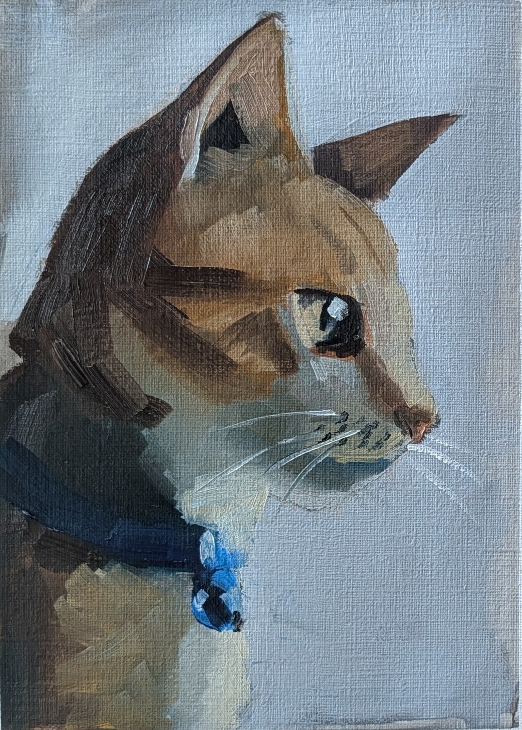 Profile of a brown tabby cat wearing a blue collar, against a pale blue-grey background